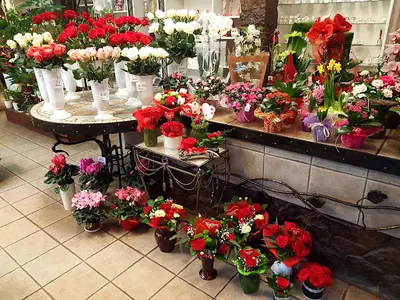 Kwiaciarnia Gerbera Białystok